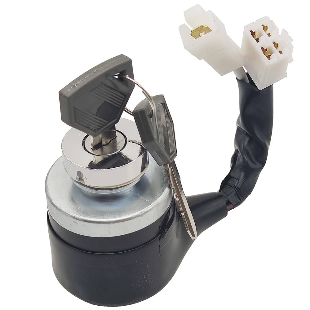 Amazon.com: XYZIL Ignition Switch AM876787 AM879479